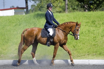 George riders shine